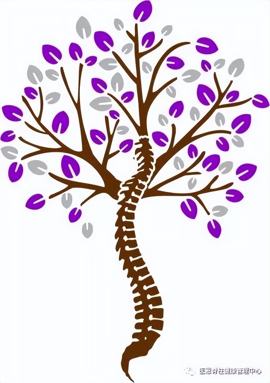 腰椎生理前凸消失是什么意思,颈椎间盘向后局限性突出