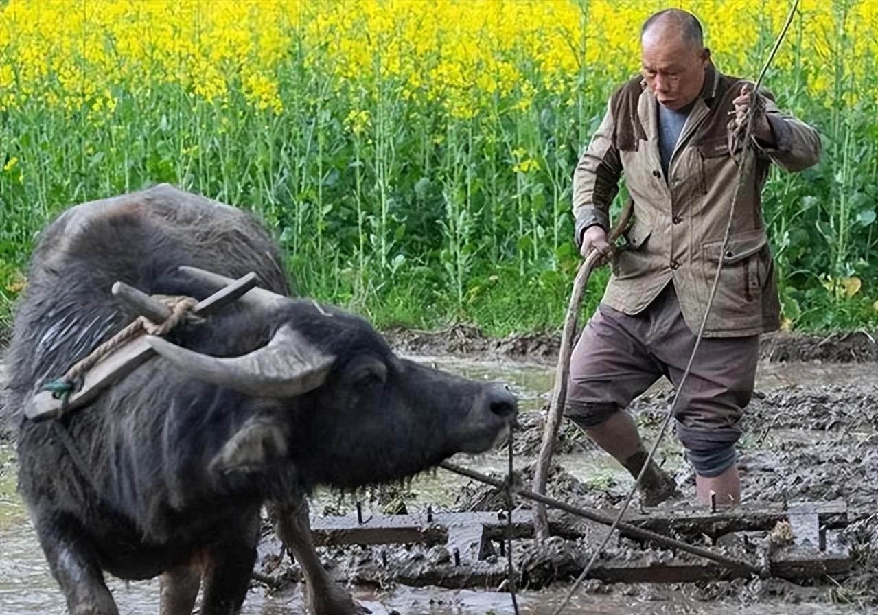 55岁杨姐近照,杨姐青春美貌