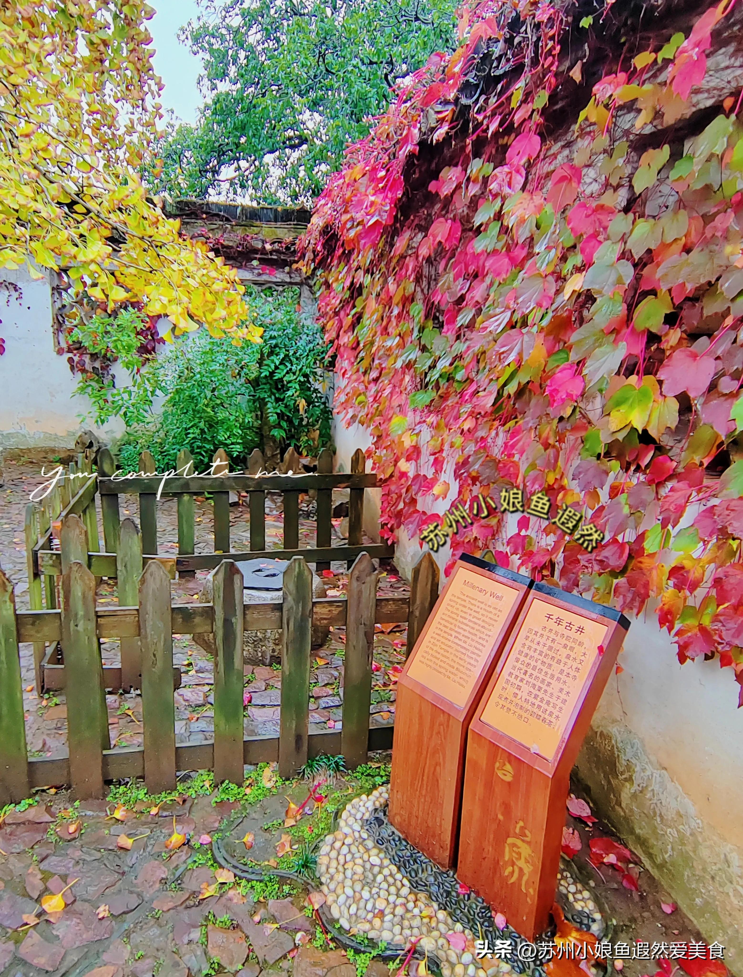 苏州古寨旅游攻略,苏州一日游攻略探索更好玩的景点