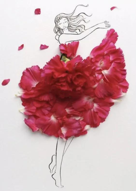 花仙子植物开花,花仙子开满鲜花