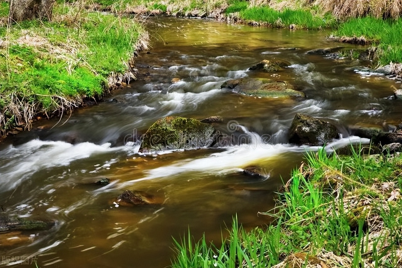 湿气是由什么组成,湿气源于阳虚