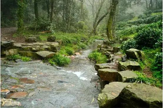 晚上杭州最值得去的五个景点,杭州名胜古迹旅游景点有哪些