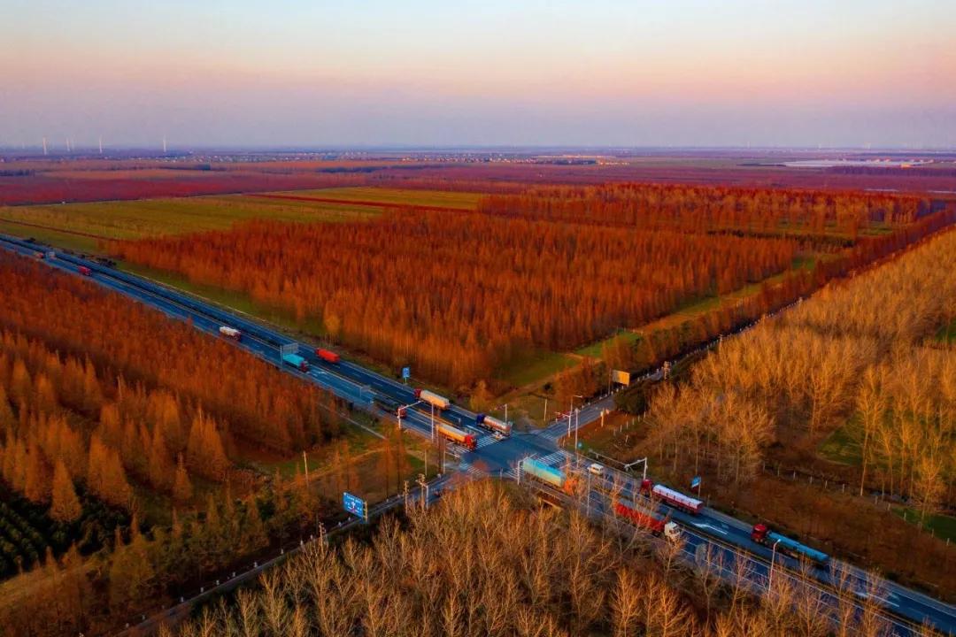 大丰区百强区,大丰区2021年全国排名