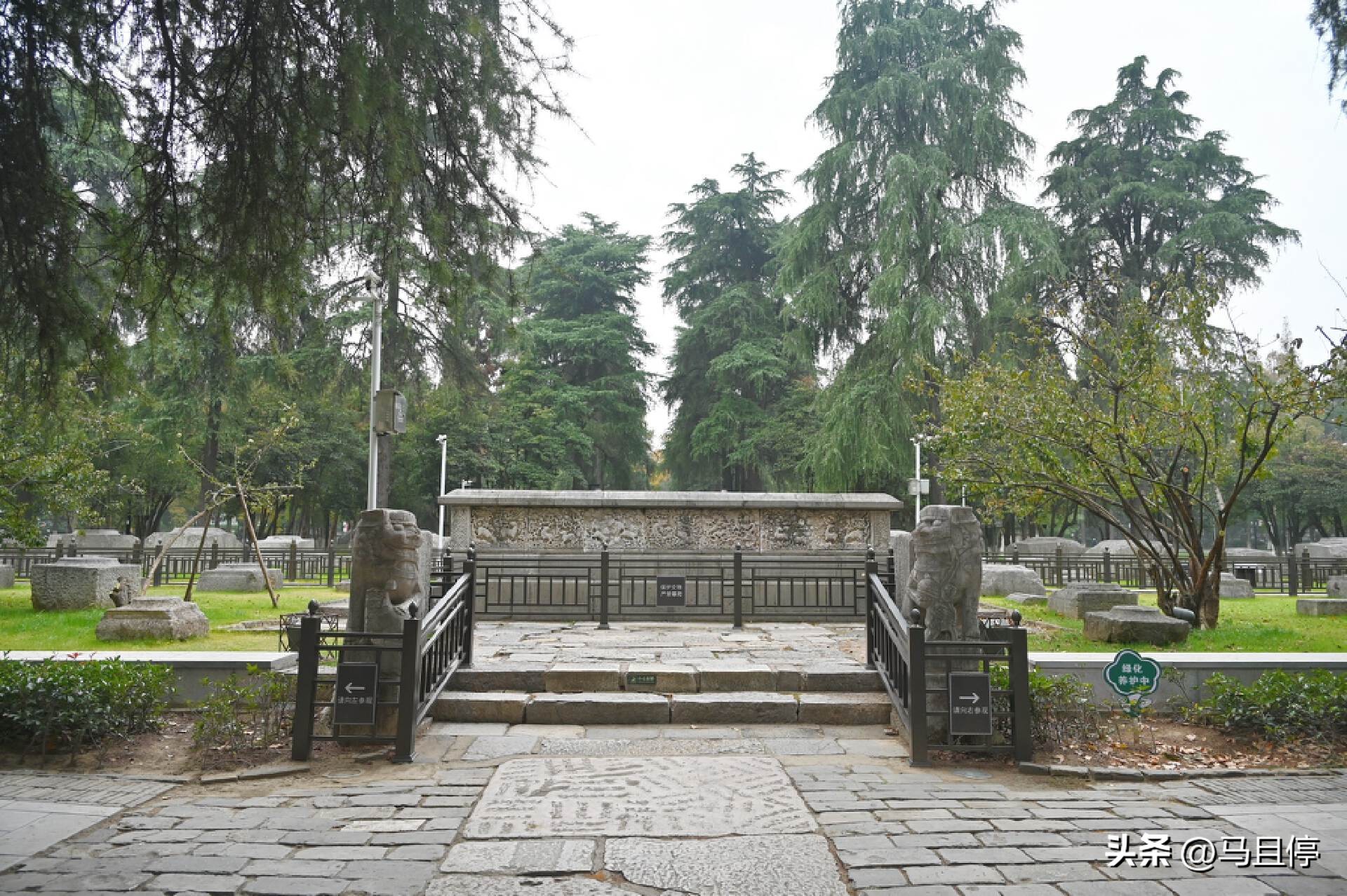 南京不知道去哪玩,南京一日游必去景点推荐玄武湖