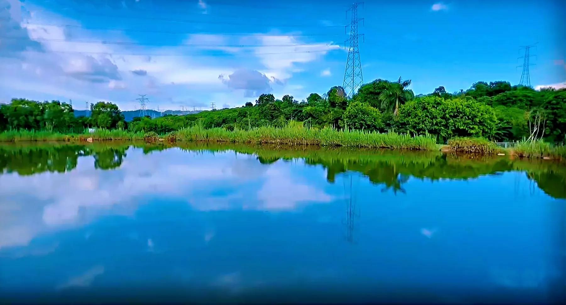 深圳环湖徒步,深圳环形绿道有哪条