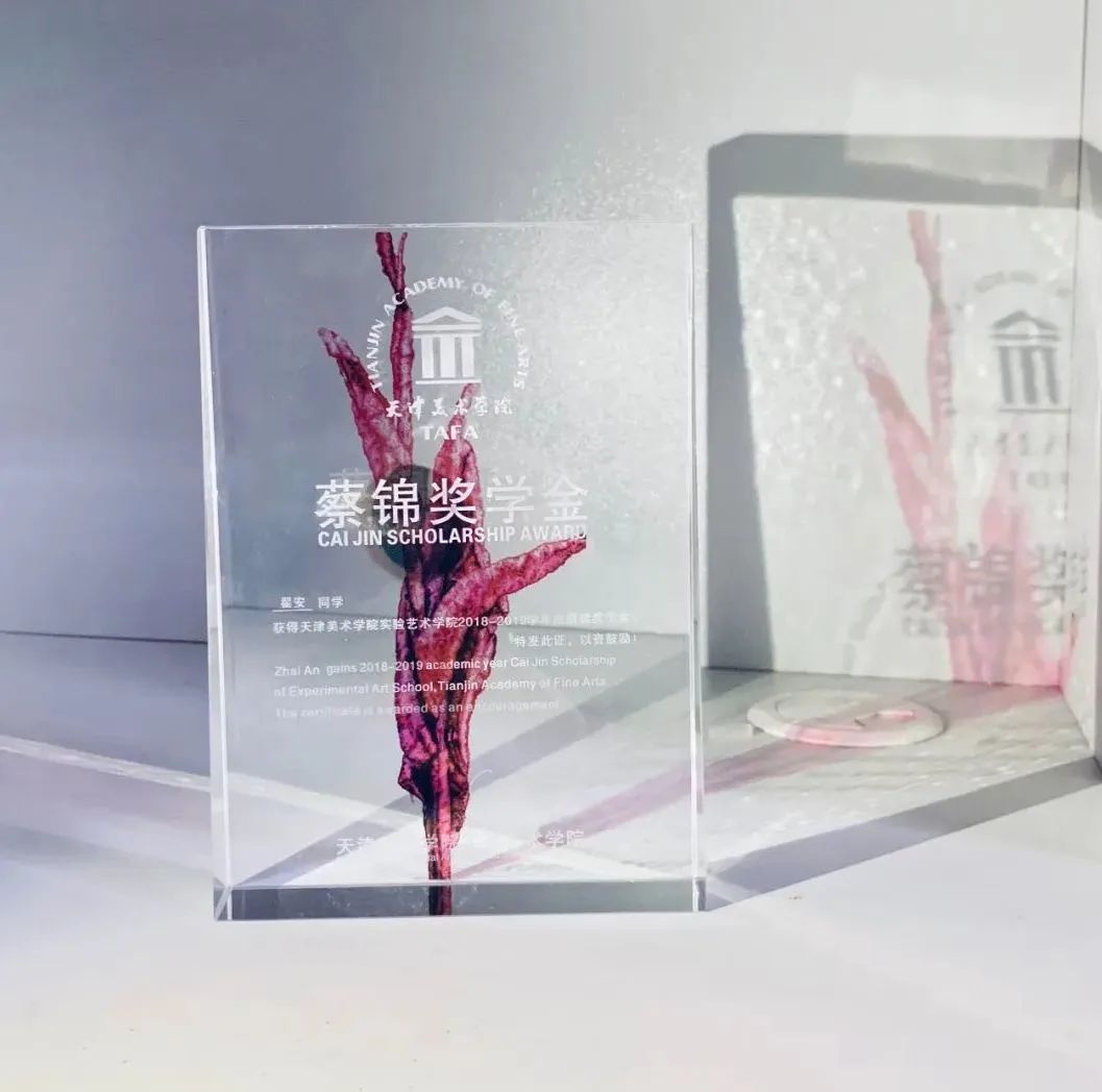 蔡锦被遗忘的十年|艺术栗子