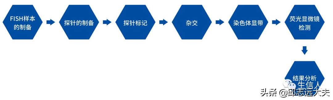 单细胞测序干湿结合,单细胞测序数据分析教程