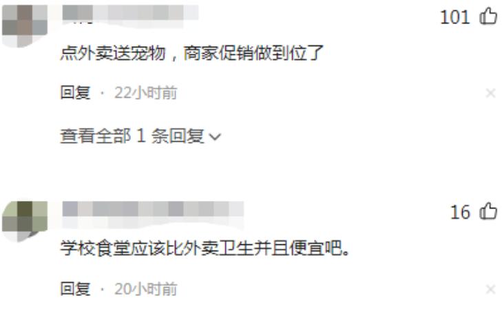 女子点外卖袋子里惊现活老鼠 (泸州市民外卖里发现老鼠)