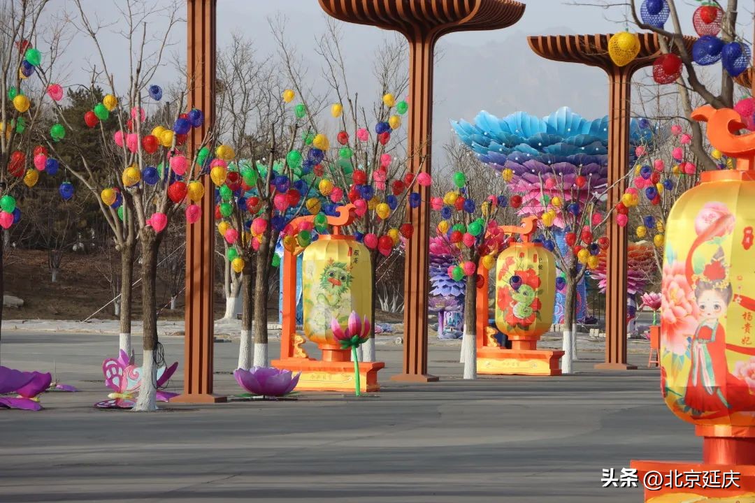 北京延庆世园公园新春闹花灯,北京世园公园花灯将点亮