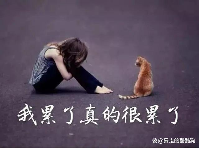 一天什么都没干感觉很累什么原因,为什么一天没干什么事很累没精神