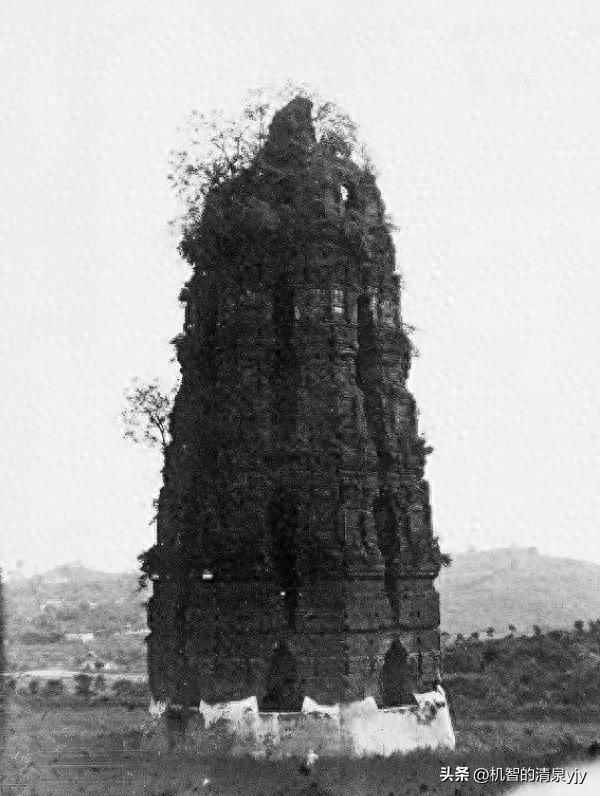 30张活久见的照片世界太奇妙了,25张有趣的照片展示神奇的世界