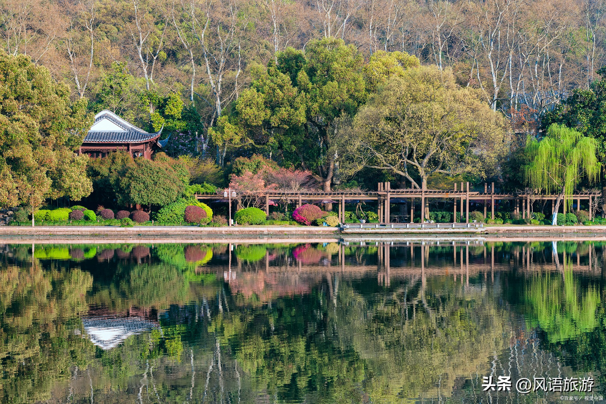 遇见春城花都昆明,春城昆明花都