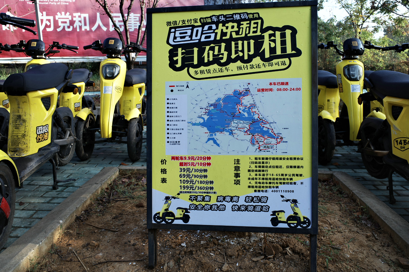 不出武汉赏银杏的地方,武汉好逛的森林公园