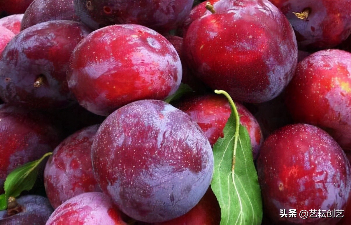 浙江省地理标志产品目录,全国地理标志农产品