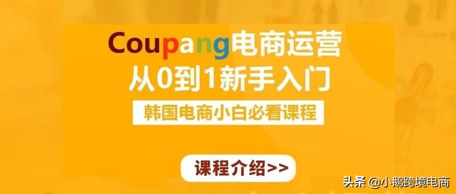 「新人向」保姆级教程，选品工具——Itemscout（上）