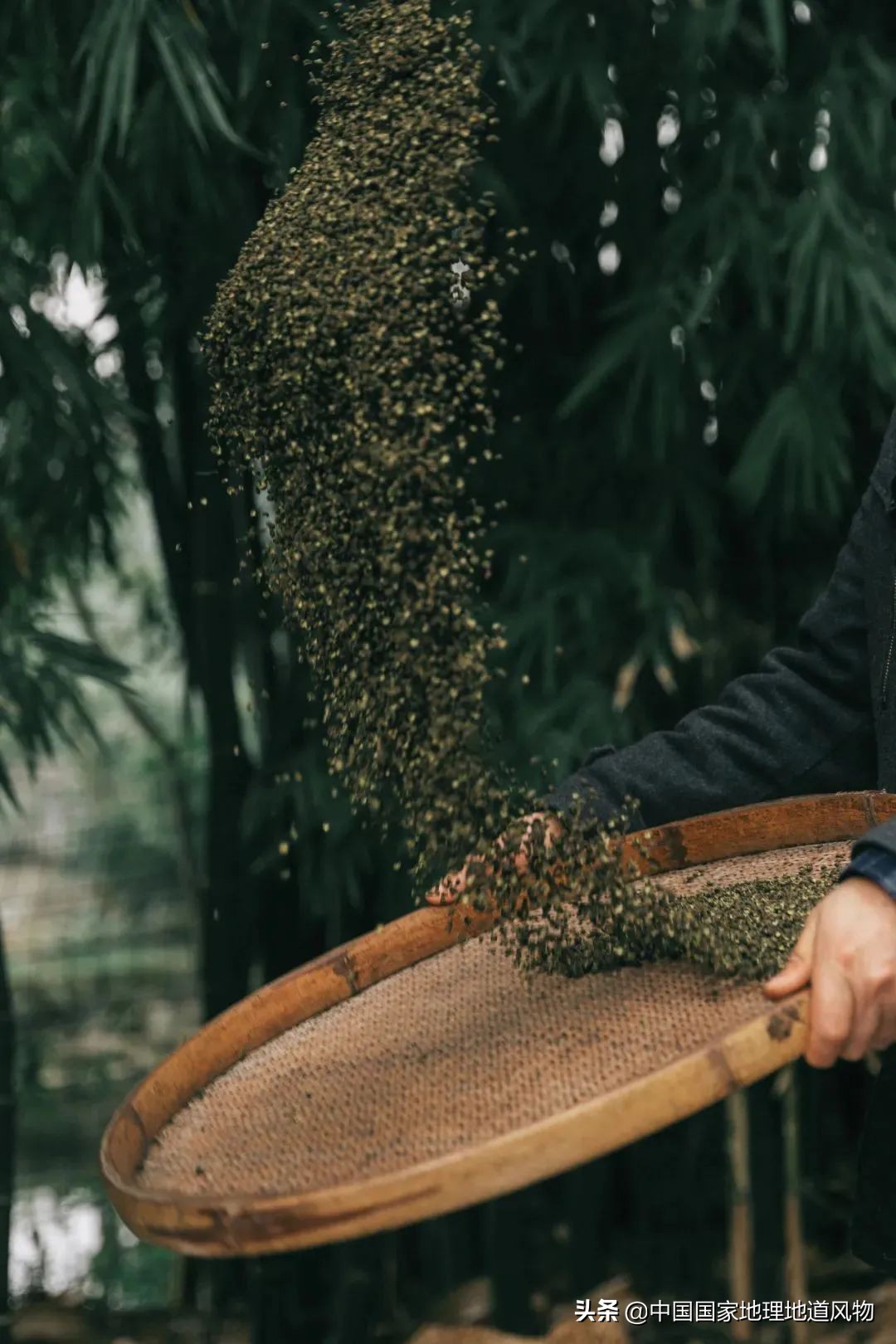 钵钵鸡冷串串家常做法藤椒味,红油串串钵钵鸡凉面