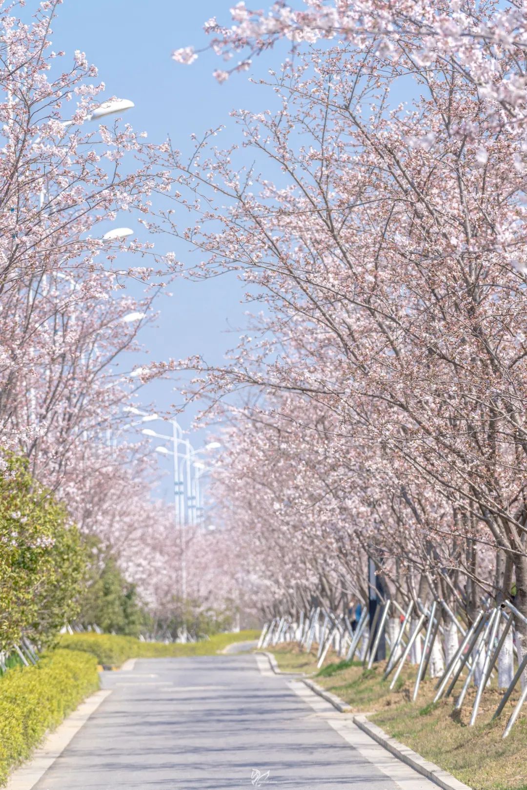 藏不住了！苏州四大宝藏公园，好拍又好玩
