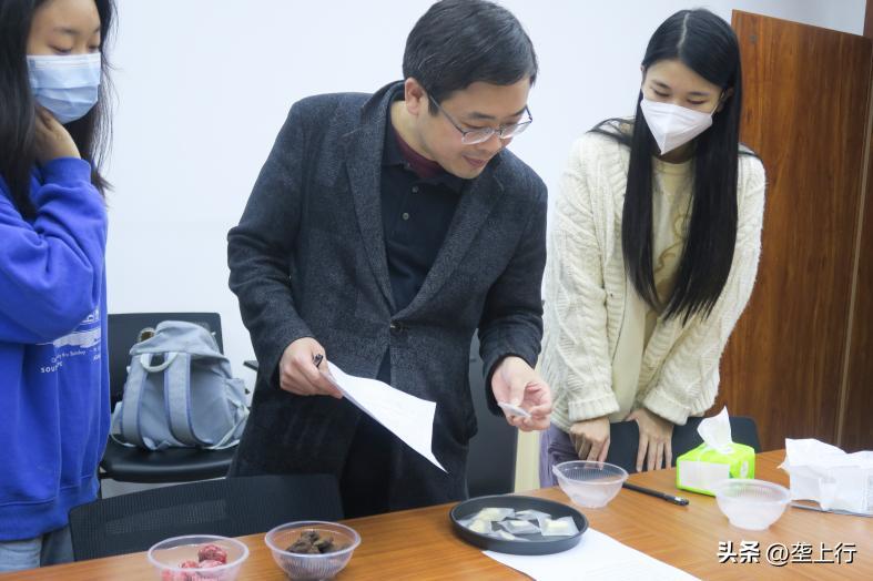 创意酸奶的做法大全,酸奶的创新工艺