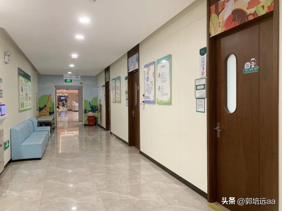 靠树叶一年赚8000万,一片树叶卖7000元