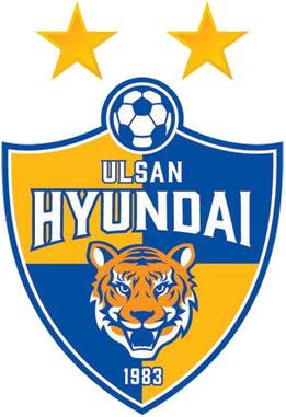 虎年说虎表演,虎年说虎华南虎