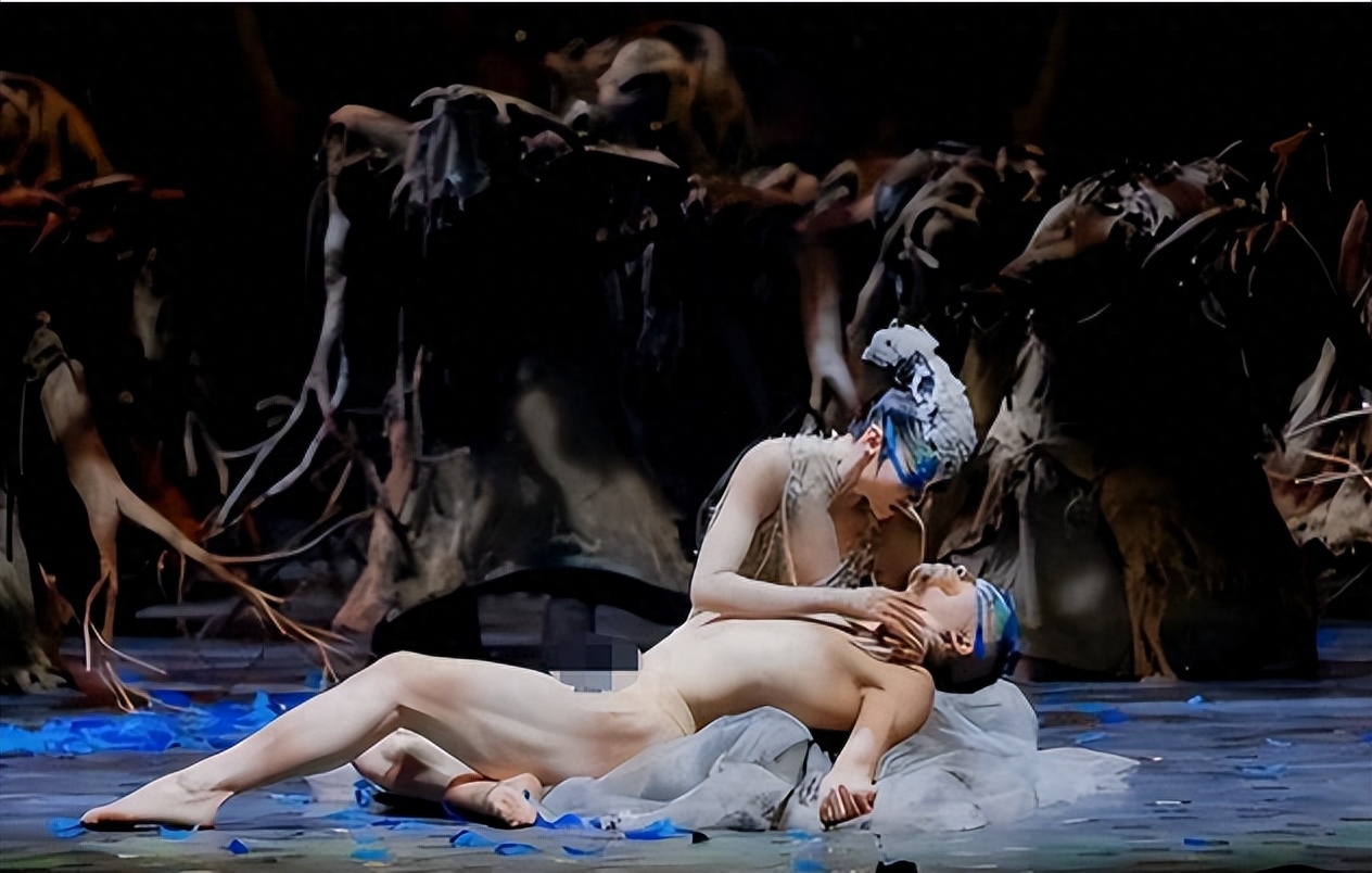 杨丽萍的四大不解之谜,杨丽萍十大不解之谜