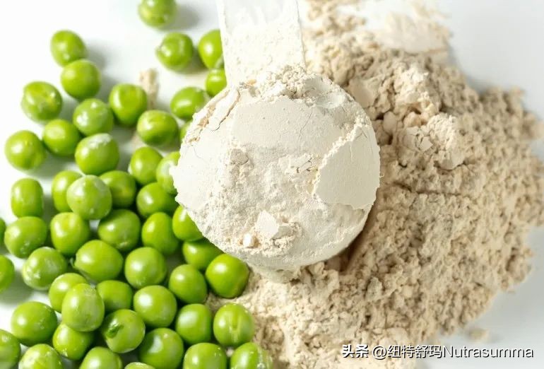 植物基蛋白,植物基蛋白的前景