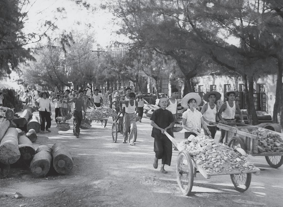 东莞市摄影家协会40周年庆典,摄影家协会成立筹备