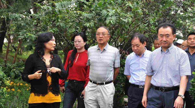 手握11万亩地皮，银行存七百多亿，她才是我国隐形“地产女首富”