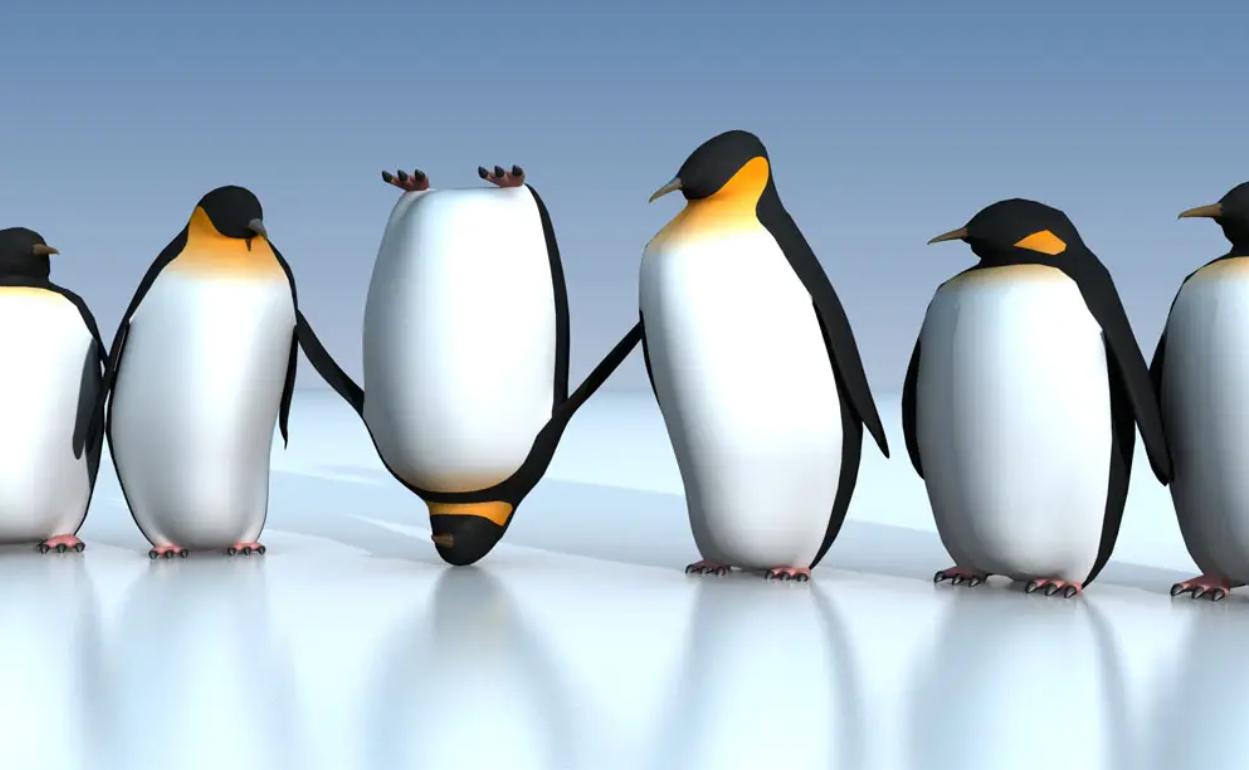 北极为何没有企鹅？80多年前放养在北极的69只企鹅，是何结局？
