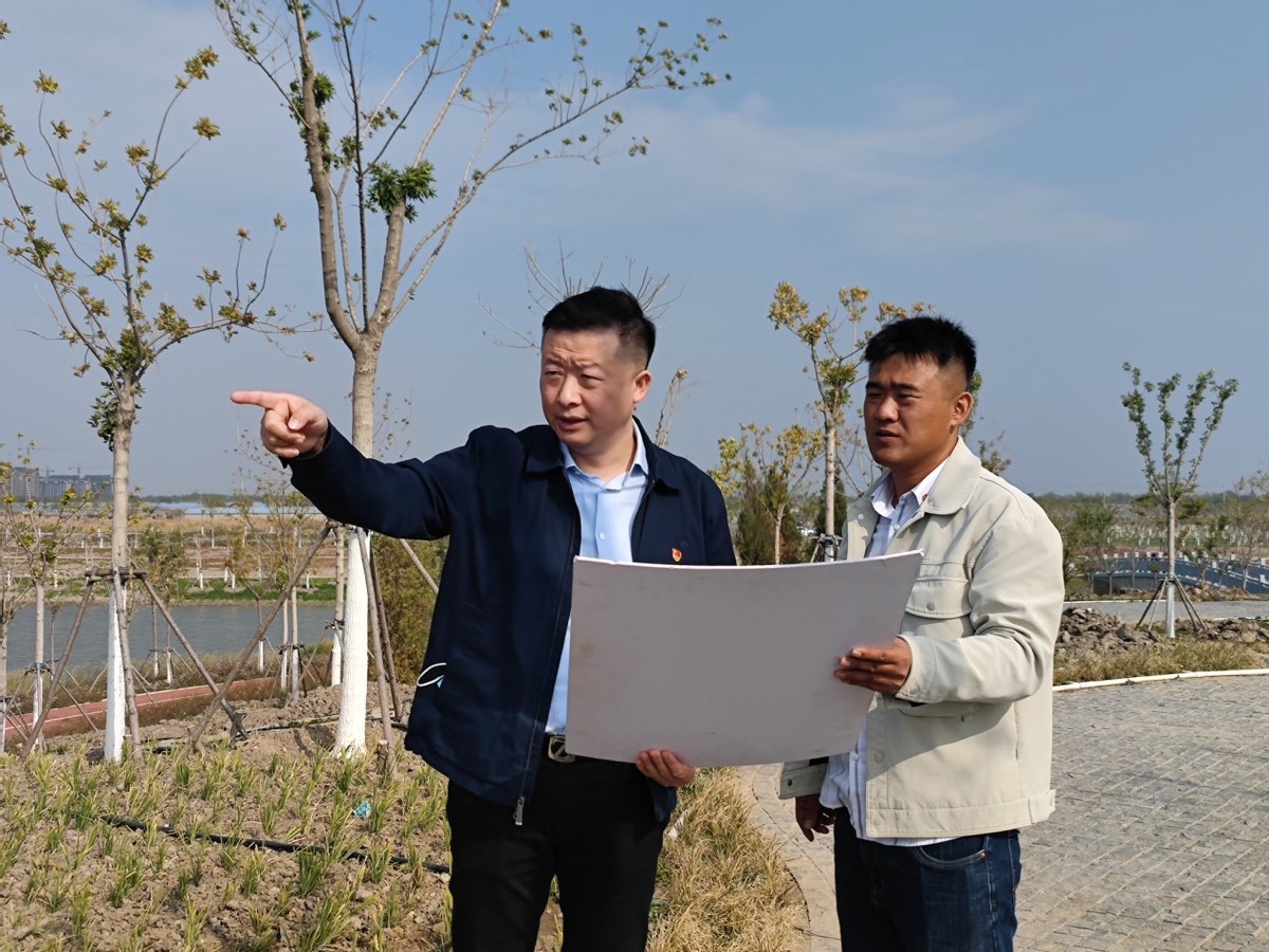 天津市东丽区：华明街道以实干实绩让*党**的二十大精神落实落地