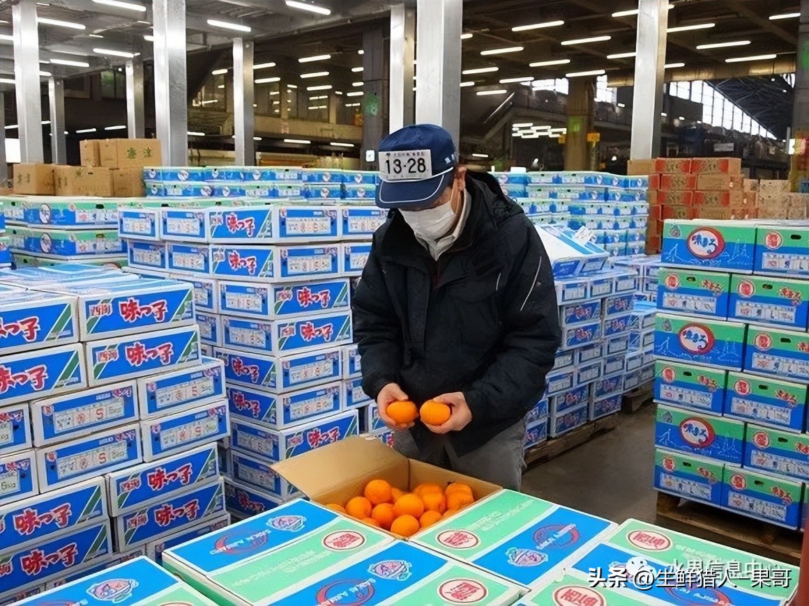 中国十大果蔬批发市场,全国十大蔬果批发市场