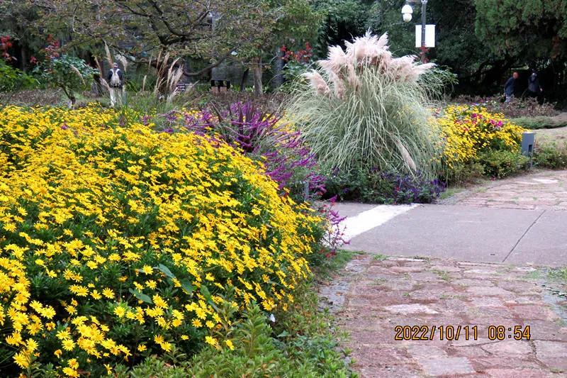 花溪小公园,美丽的花溪公园