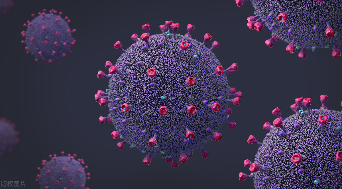 致命真菌在美国死亡率是多少,美国暴发超级真菌传染途径