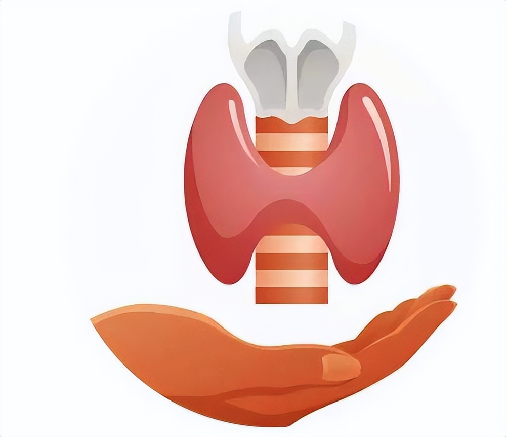 甲功五项化验单的解读一览表,甲功七项和甲功七项功能一样嘛