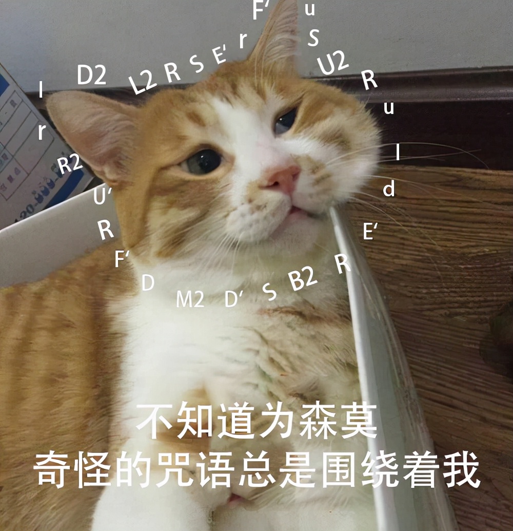 魔方转动字母示意图,三阶魔方公式字母的意思