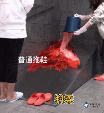 晒晒我家最值钱的东西,晒晒自己高品质的生活