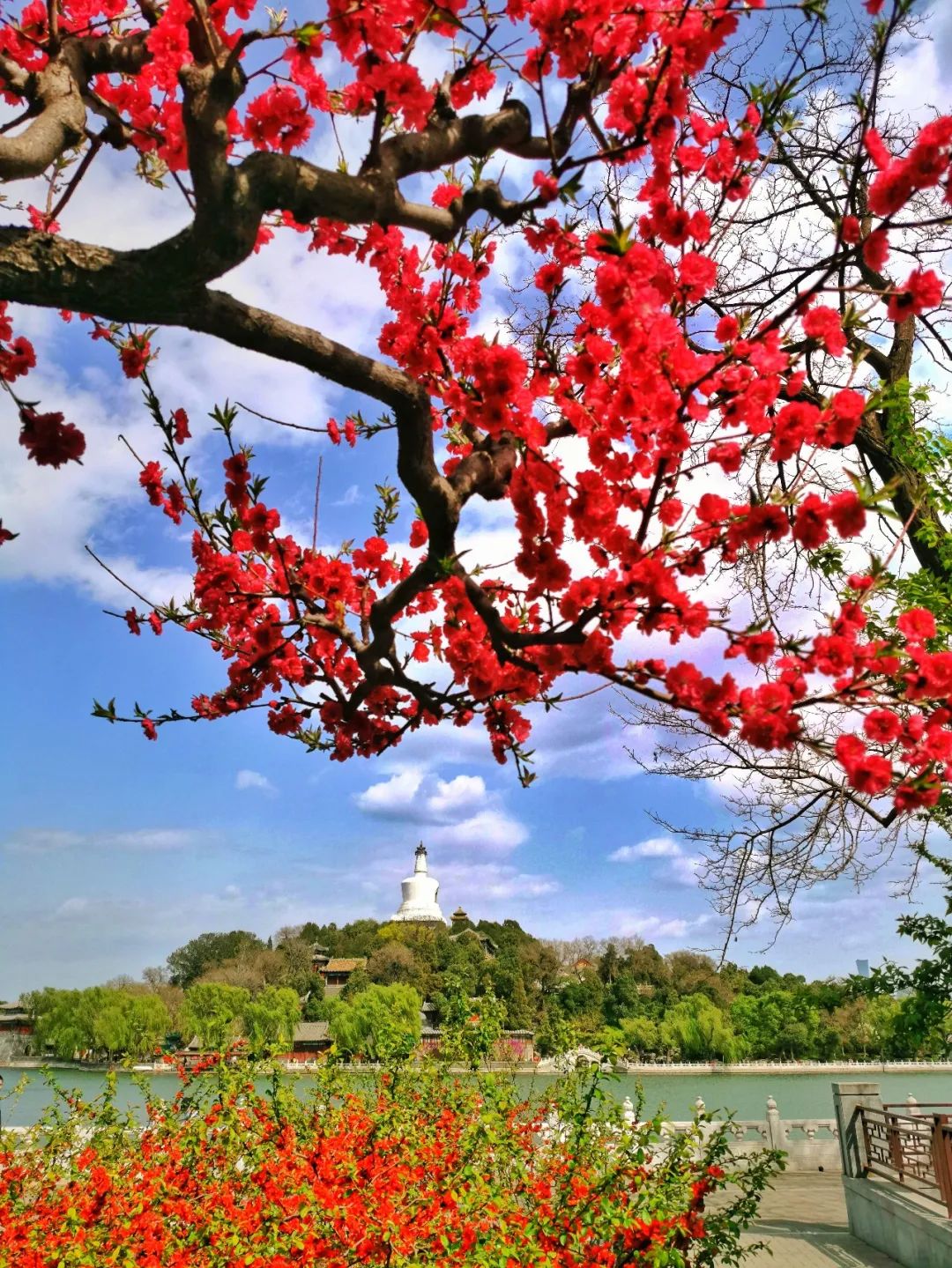 西城印象西平县,西城印象二期