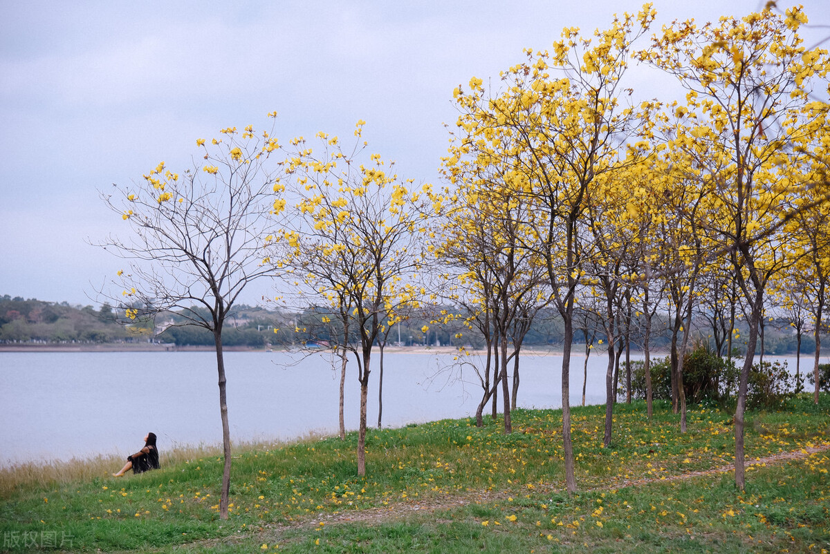 外遇原创小说连载,婚内出轨小说长篇