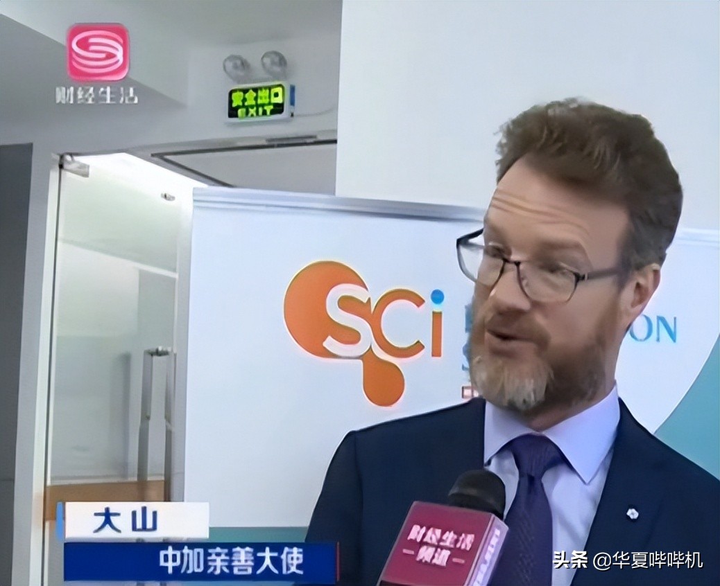 “中国通”大山的走红，和他回国的真相