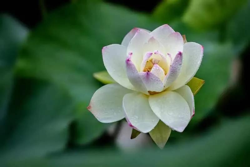 投资理财最好的机会,投资理财中活得好才是王道