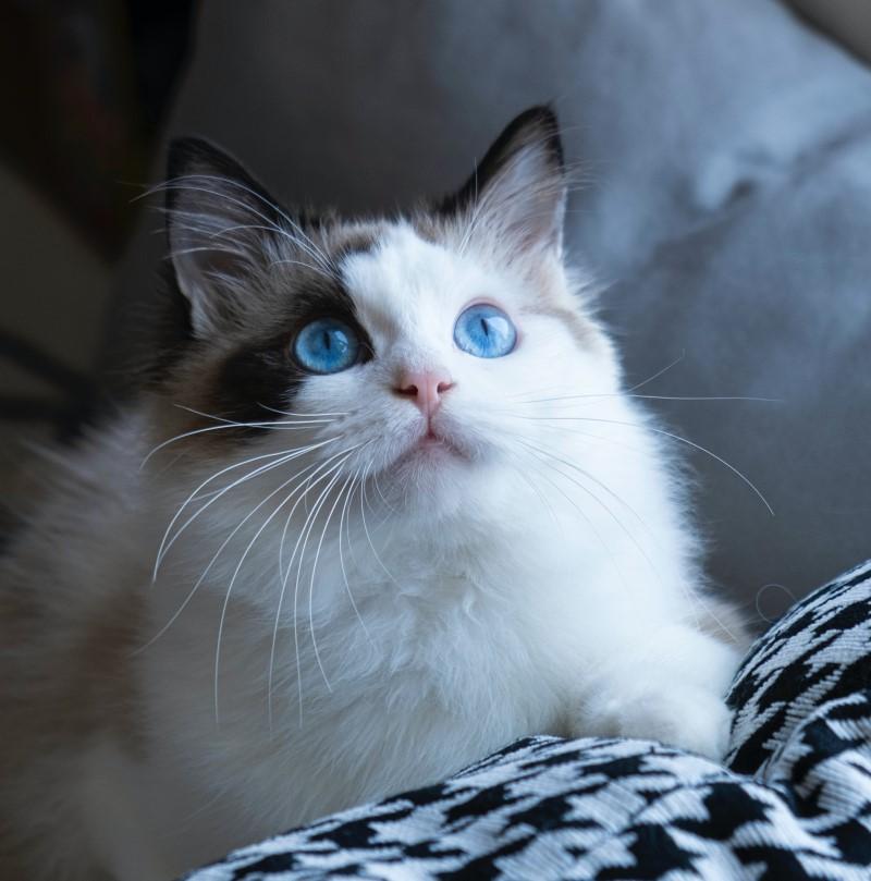 30个日常小习惯,40个最实用的习惯