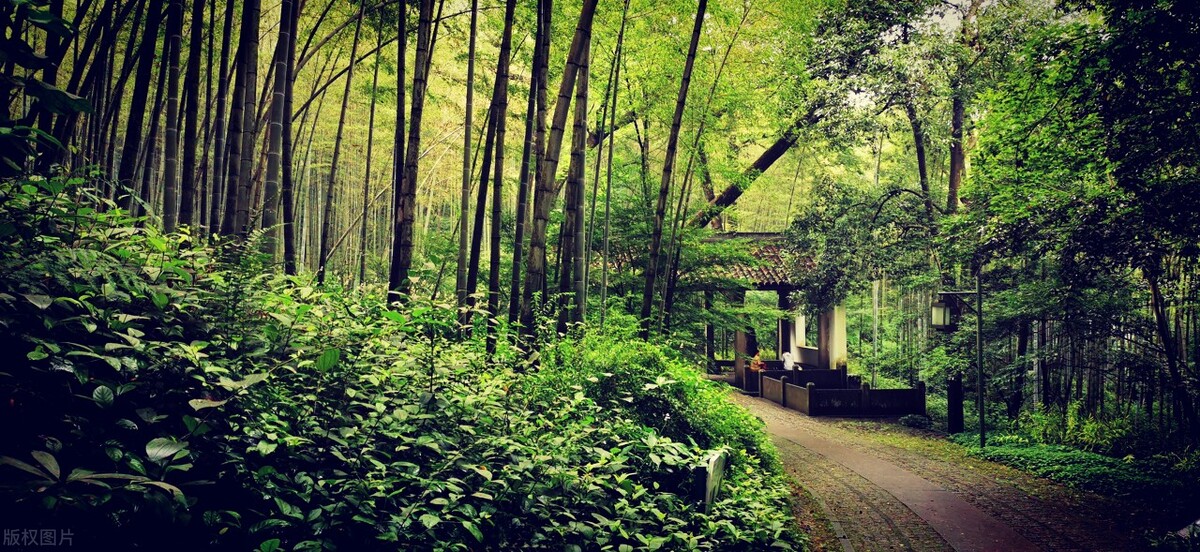 杭州旅游打卡必去景点推荐,最新杭州旅游攻略打卡必备景点