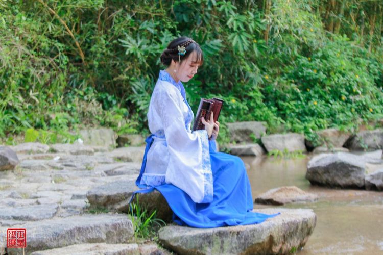 各领风骚全诗,各领风骚是哪首诗