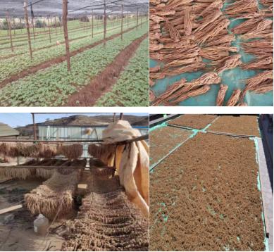 每天带你了解一个职业,每天带你了解一个行业