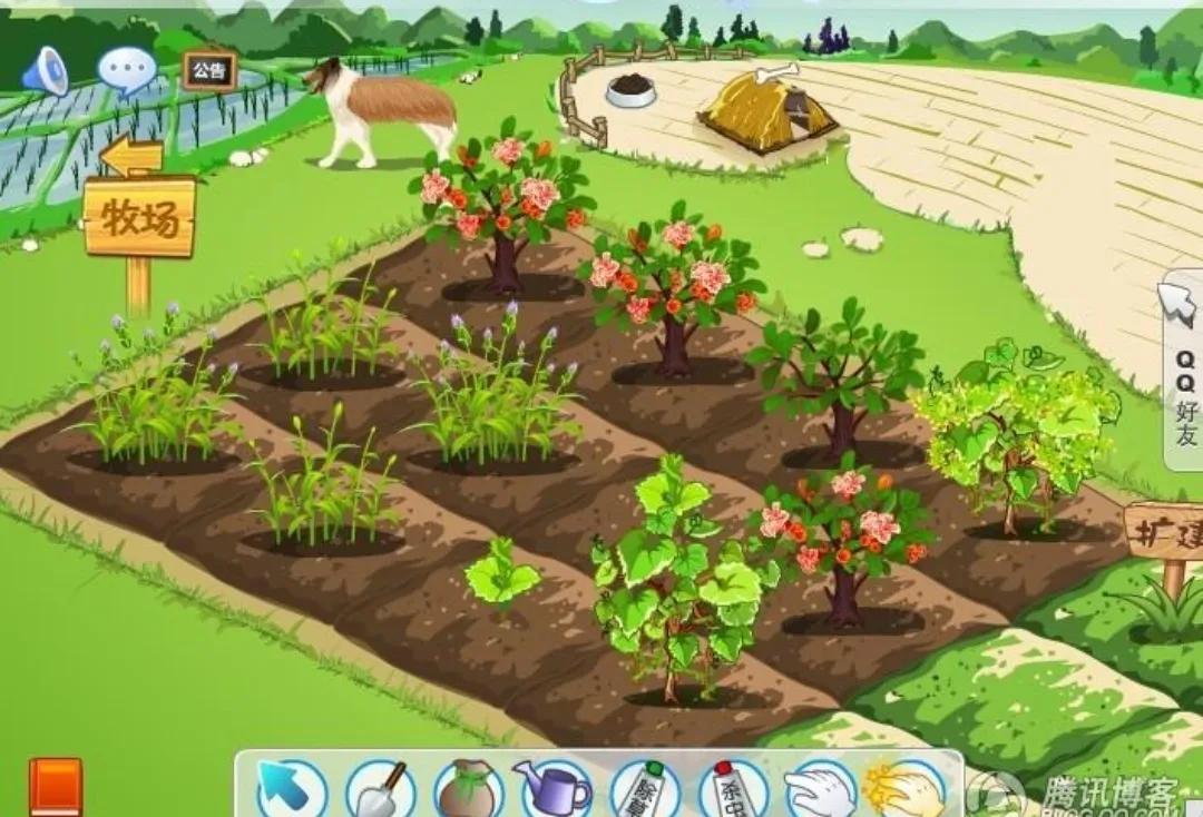 90后的qq号现在多少级了,五年的qq号大概多少级