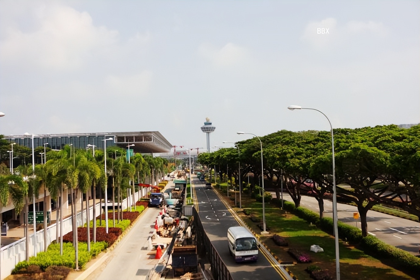 新加坡樟宜机场的仙人掌花园,新加坡最美机场在哪个航站楼