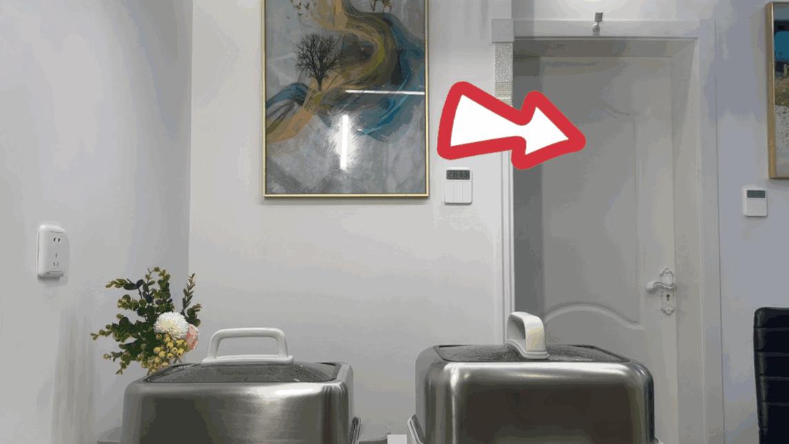 蓝宝电蒸锅对比评测,蓝宝电蒸锅真实测评