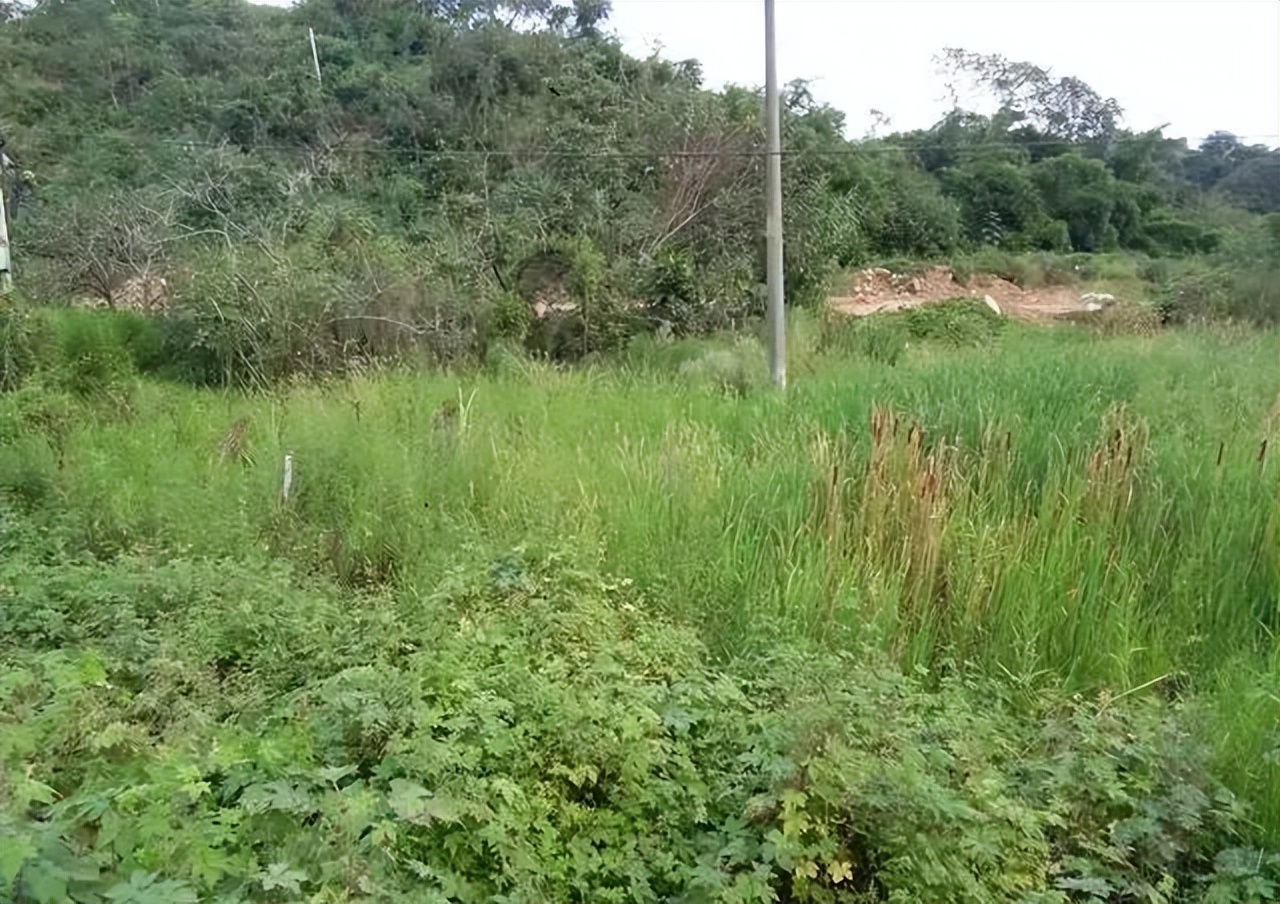 乐平市鄱阳县哪发展快,乐平发展景德镇