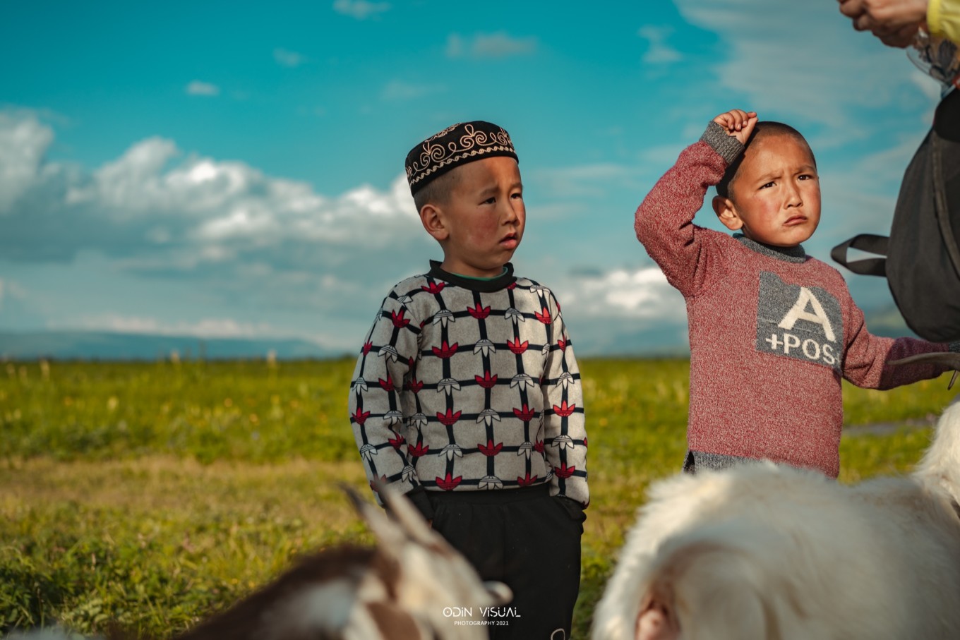 新疆伊犁之美,走了一圈才发现世界万物远不及你