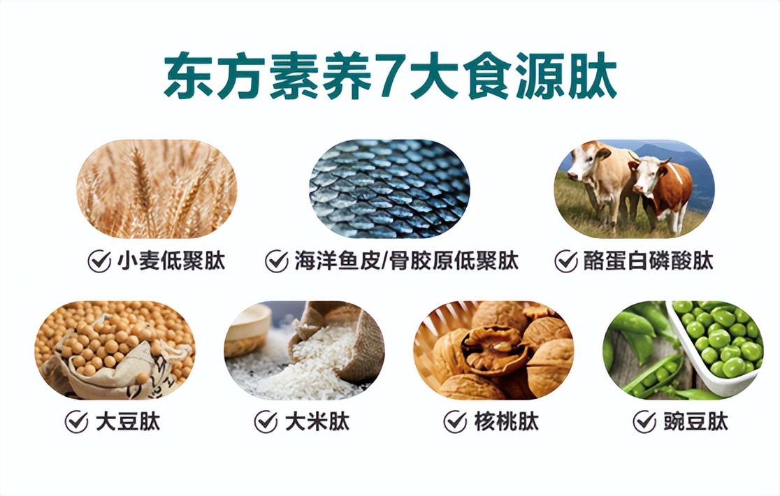 中国人营养摄入指南,中国人饮食还有多少营养